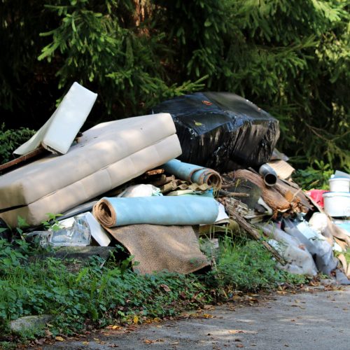 Illegal garbage dump near local paved forest road filled with domestic garbage surrounded with tall grass and forest vegetation