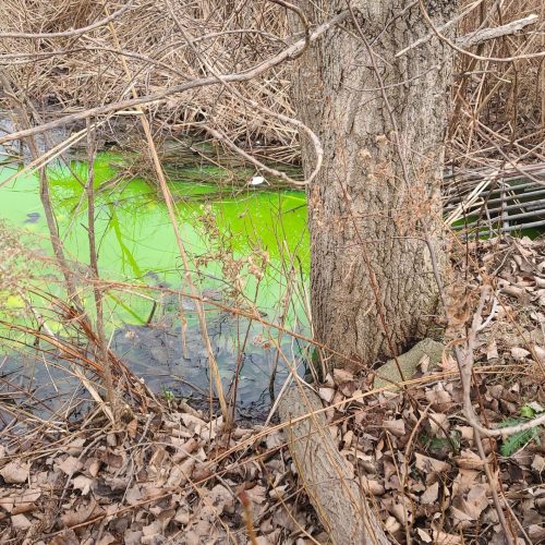 tilt_angle_deg= -26.8 / 
roll_angle_deg=-1.3